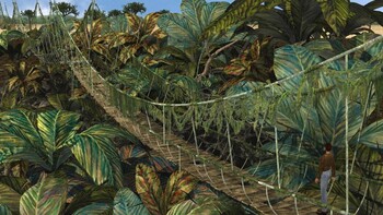 Screenshot10
