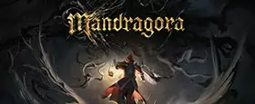 Mandragora